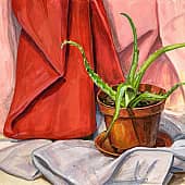 Этюд с алоэ