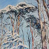 Солнечный февраль. Филевский парк.