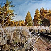 На солнечной поляне