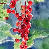 Ягодное лето