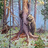 Медвежий угол