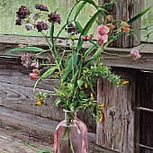 Натюрморт на веранде