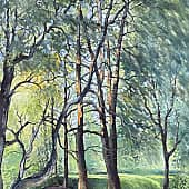 Блики солнечного утра