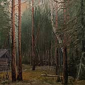 В лесной избушке