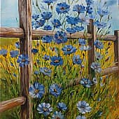 Поле васильков.