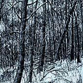 Среди зимы 38  Among the Winter 38