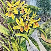 Пхукет. Желтые орхидеи.