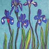 Ирисы