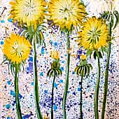 На солнышке