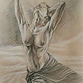 Ню (учебный рисунок)