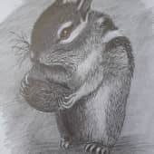 Бурундучок