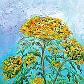 Цветы пижмы