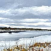 Предзимье. Вычегда.