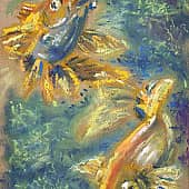 Шесть желаний