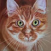 Рыжий шкодник