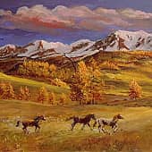 В погоне за солнцем