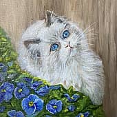 Анютины глазки