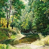 Лесная речка