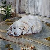 Уехали, а меня забыли