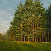 Майское поле