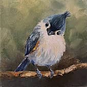 Любопытный