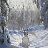 Заячье утро 9 ( по фото)