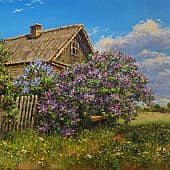 Цветёт сирень