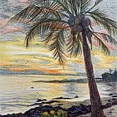 Фукуок. Пальма. Скетч.