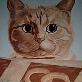 Сидят и едят