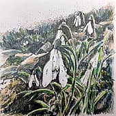 Подснежники