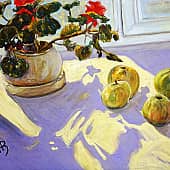 Яблоки, цветок и немного солнца.