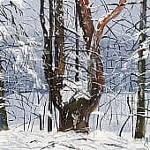 Зима в "языческой" роще