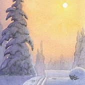 Зимнее солнце