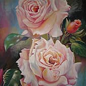 Розы белые.