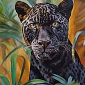 Чёрный леопард