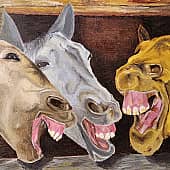 Анекдот про зебру. Ну очень смешной