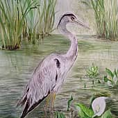 Серая цапля