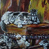 Семейка кошечек.