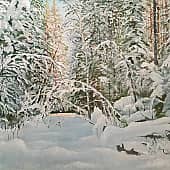 В тайге заснеженной...