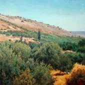 Оливковые рощи на острове Крит