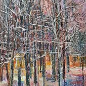 Зимний парк