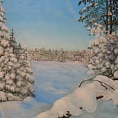 В снежном плену