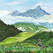 Маленький пастушок