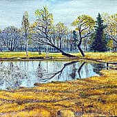 отражение осени