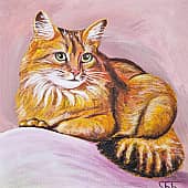 Котейка 3