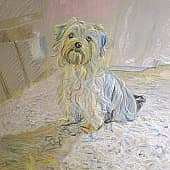 Терьер в интерьере