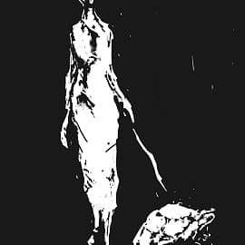 "Ночь коротка"