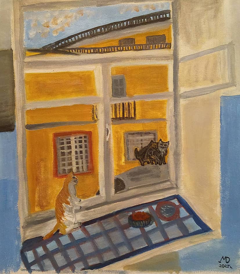 Кошачья драма