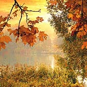 Осенние пейзажи-3