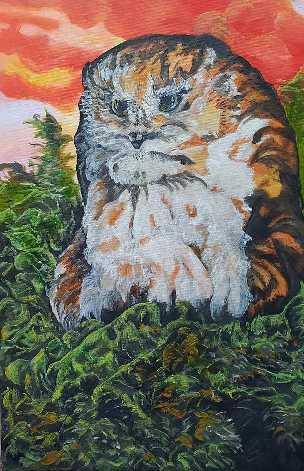 Сова на закате